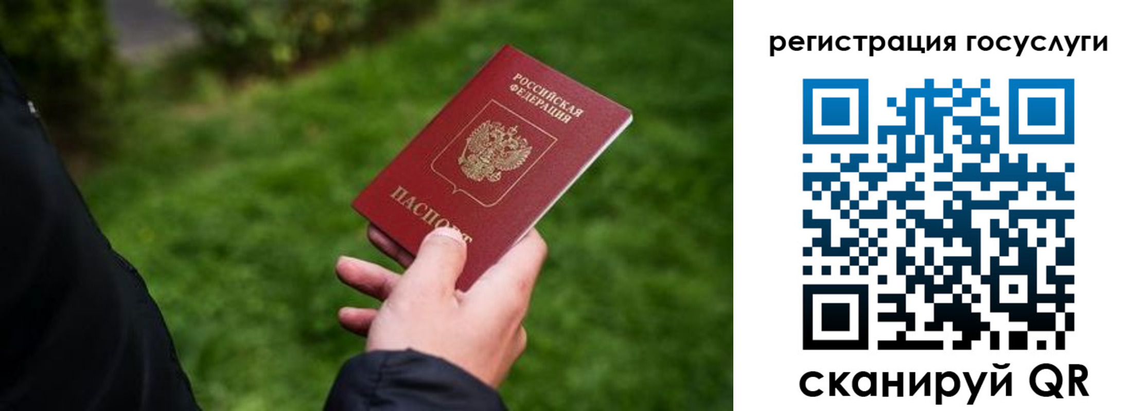 прописка в Брянской области